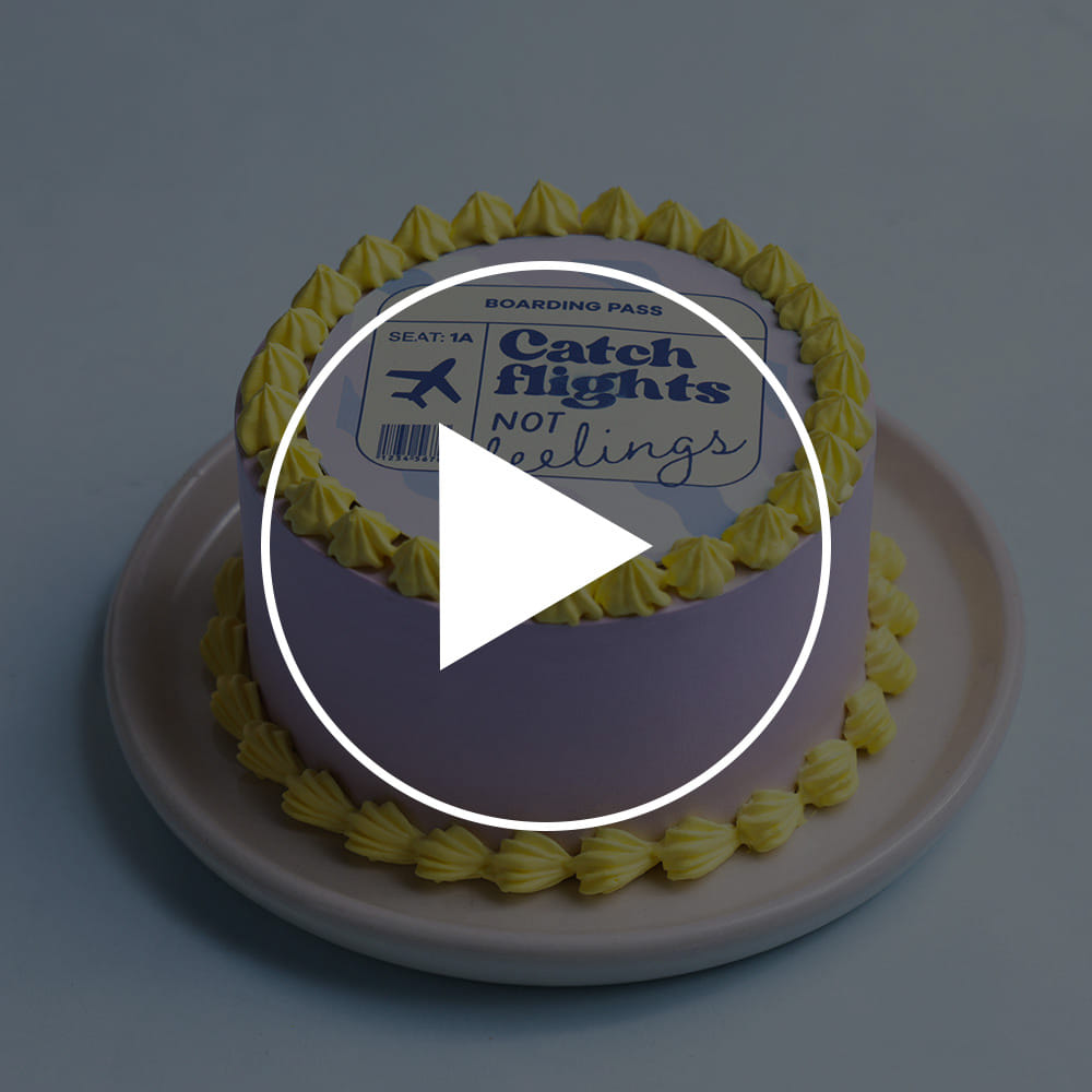 Catch Flights Bento Cake