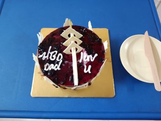 Blueberry Laden Cake