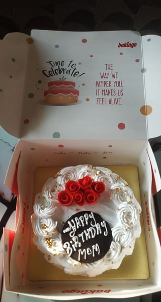 Snowy Affair Decadent Cake