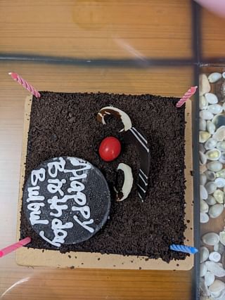Square Choco Black Forest Cake