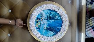 Frozen Poster Cake
