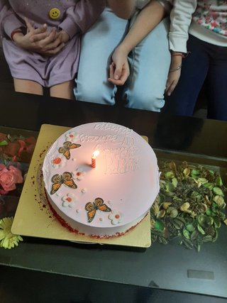 Red Velvet Butterfly Cake