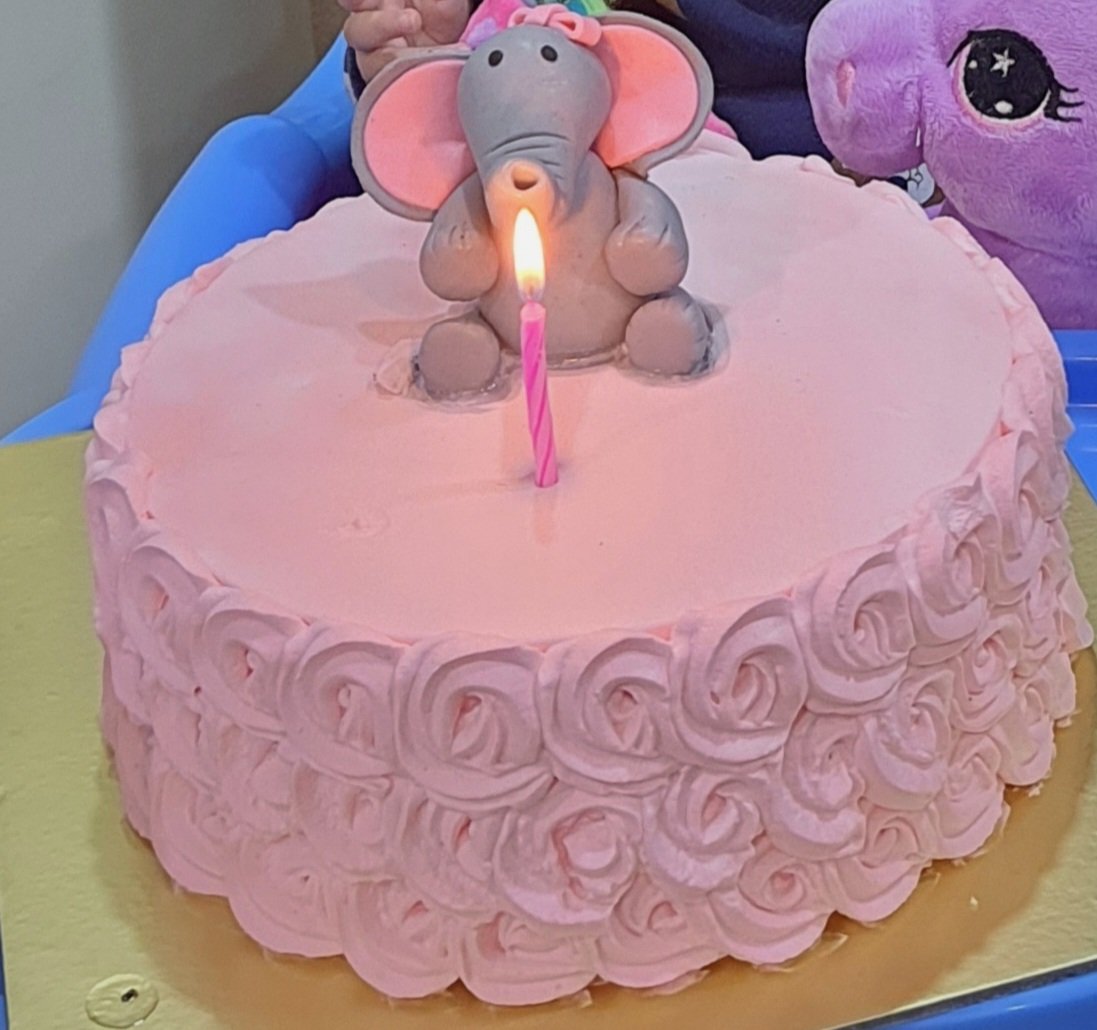 JeVenis Pink Elephant Cake Topper Baby Girl Cake Topper Its a Girl Cake  Topper Elephant Birthday Cake Decoration Baby Shower Cake Decoration  Elephant Party Supplies : Amazon.in: Grocery & Gourmet Foods