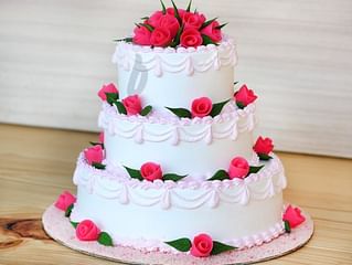 3 Tier Vanilla Party Cake 3 Tier Vanilla Party Cake