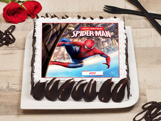 Spiderman Birthday Poster Cake