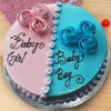Baby Girl Baby Boy Cake