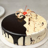 Front View of Choco Vanilla Cake-Half Chocolate Half Vanilla Cake