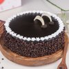 Front View of Choco Drizzle-Choco Chip Chocolate Cake