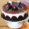 Chocolate Light Cake