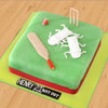 Cricket designer cake