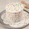 Front View of Rainbow Pull me up Cake