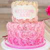 Ruby Rose - A Baby Shower Theme Cake for Girl