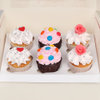 Set Of 6 Different Flavored Cupcakes