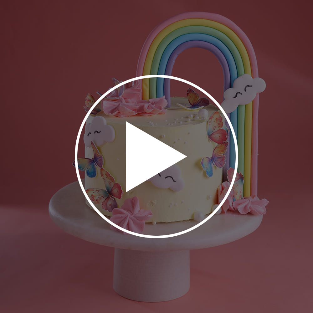 Rainbow Delight Butterfly Cake