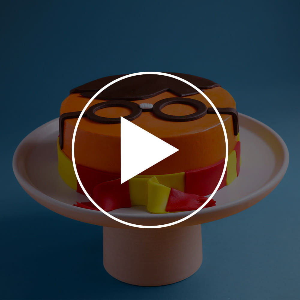 Harry Potter Fantasy Cake