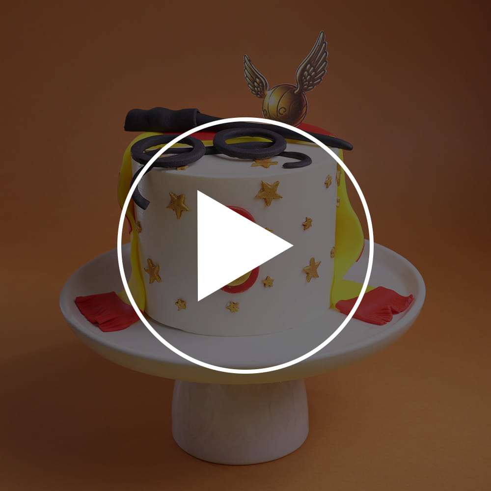 Harry Potter House Pride Cake