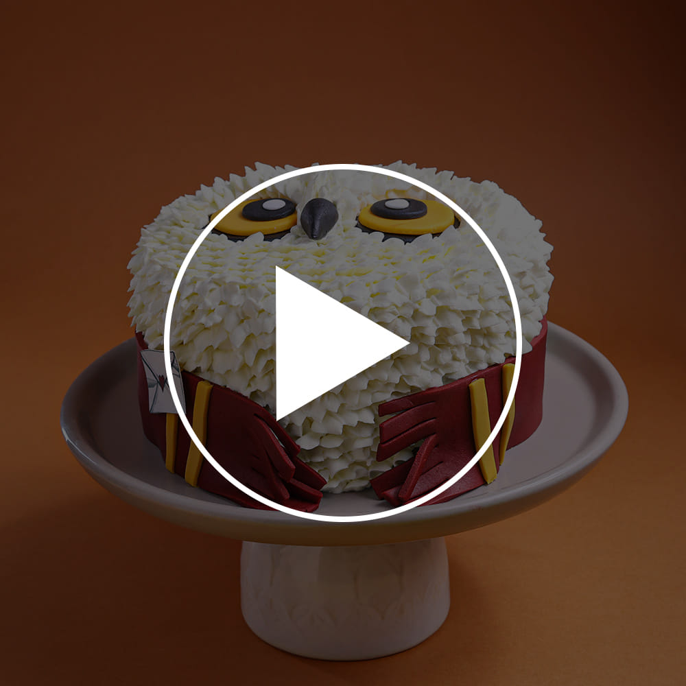Hedwig Harry Potter Theme Cake