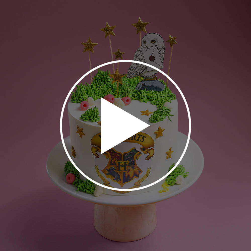 Wizards of Hogwarts Fantasy Cake