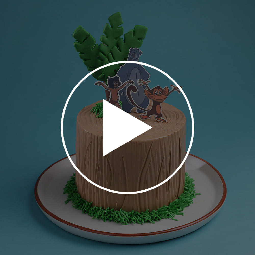 Jungle Book Fun Adventure Cake