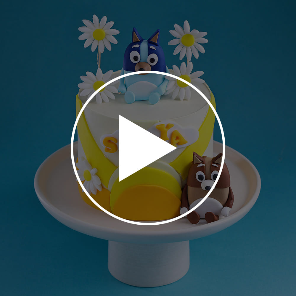 Bluey N Blooms Cake